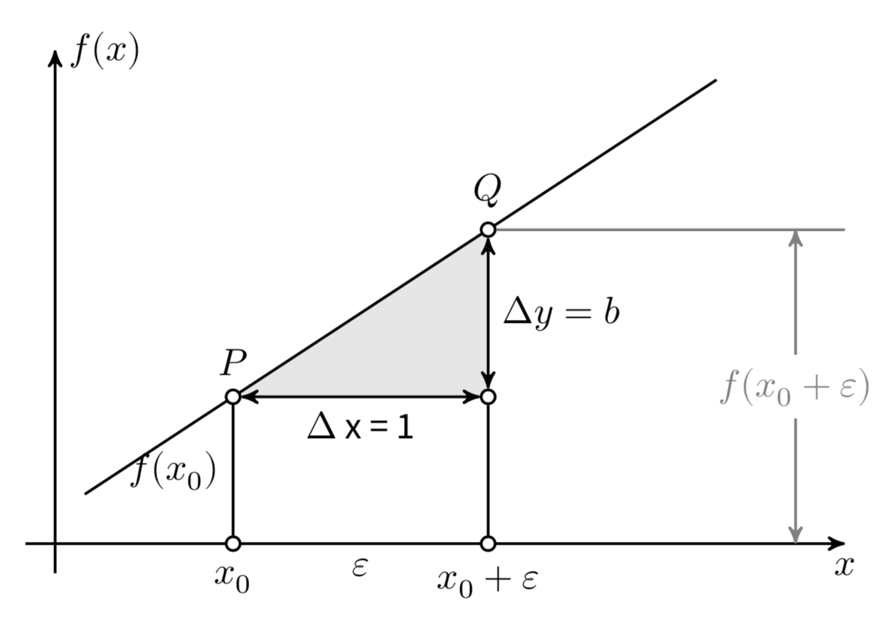 La funzione lineare $y = a + bx$.